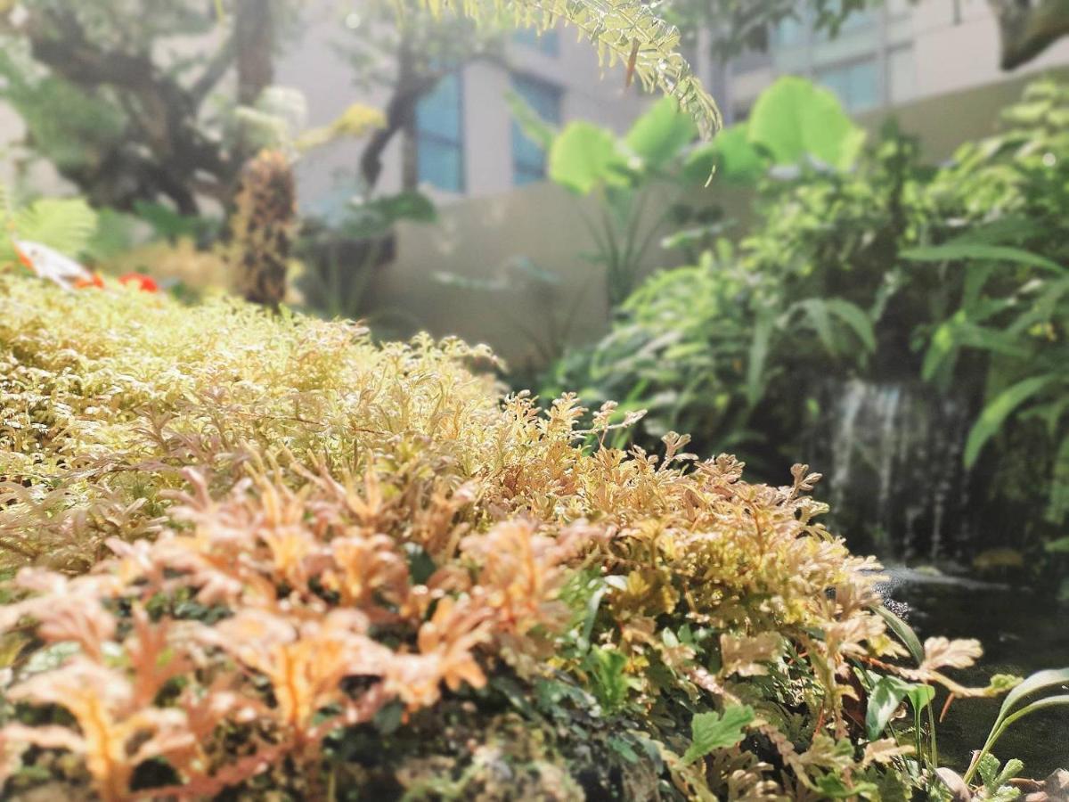 ANA Park Chiang Mai Hotel Bagian luar foto